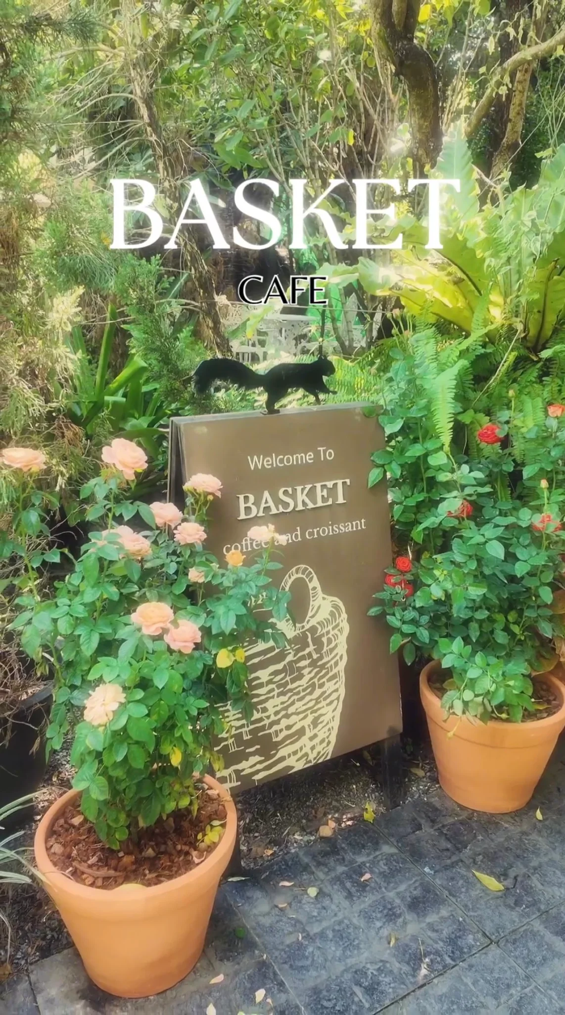 Basket cafe คาเฟ่แนวสวน ย่านคลองสามวา มุมถ่ายรูปเพียบ