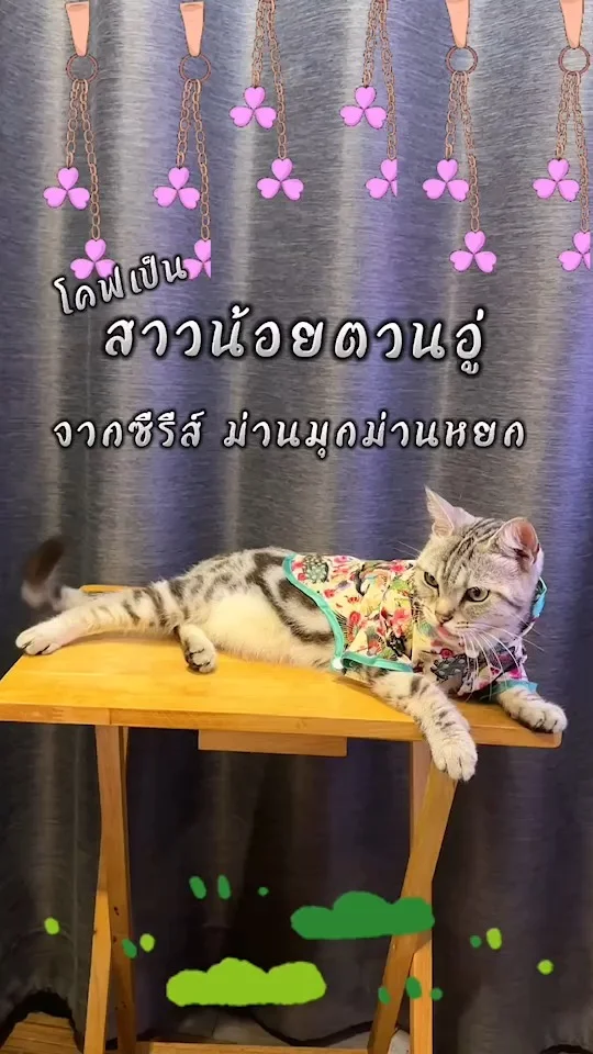 อยากเป็นสาวน้อย ตวนอู่ ซีรีส์จีน ม่านมุกม่านหยก