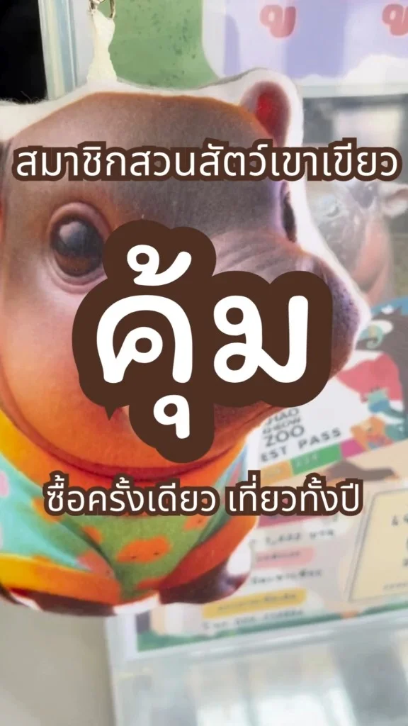 รีวิวแพ็กเกจสมัคร สมาชิกสวนสัตว์เขาเขียว ดูหมูเด้งได้ทั้งปี คุ้มยิ่งกว่าคุ้ม!