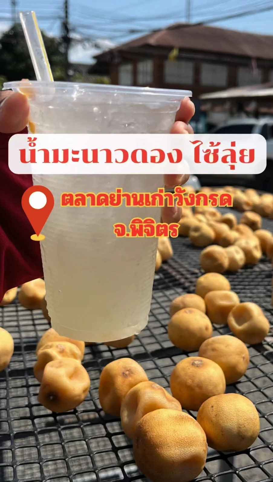 พาชิม น้ำมะนาวดอง ไซ้ลุ่ย ของดีย่านวังกรด อร่อยบอกต่อ