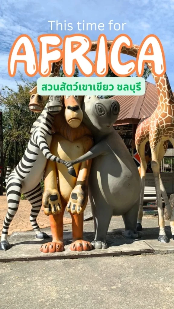 โซนแอฟริกา สวนสัตว์เขาเขียว มุมแกรม น่ารัก กับ รถจี๊บสุดเก๋