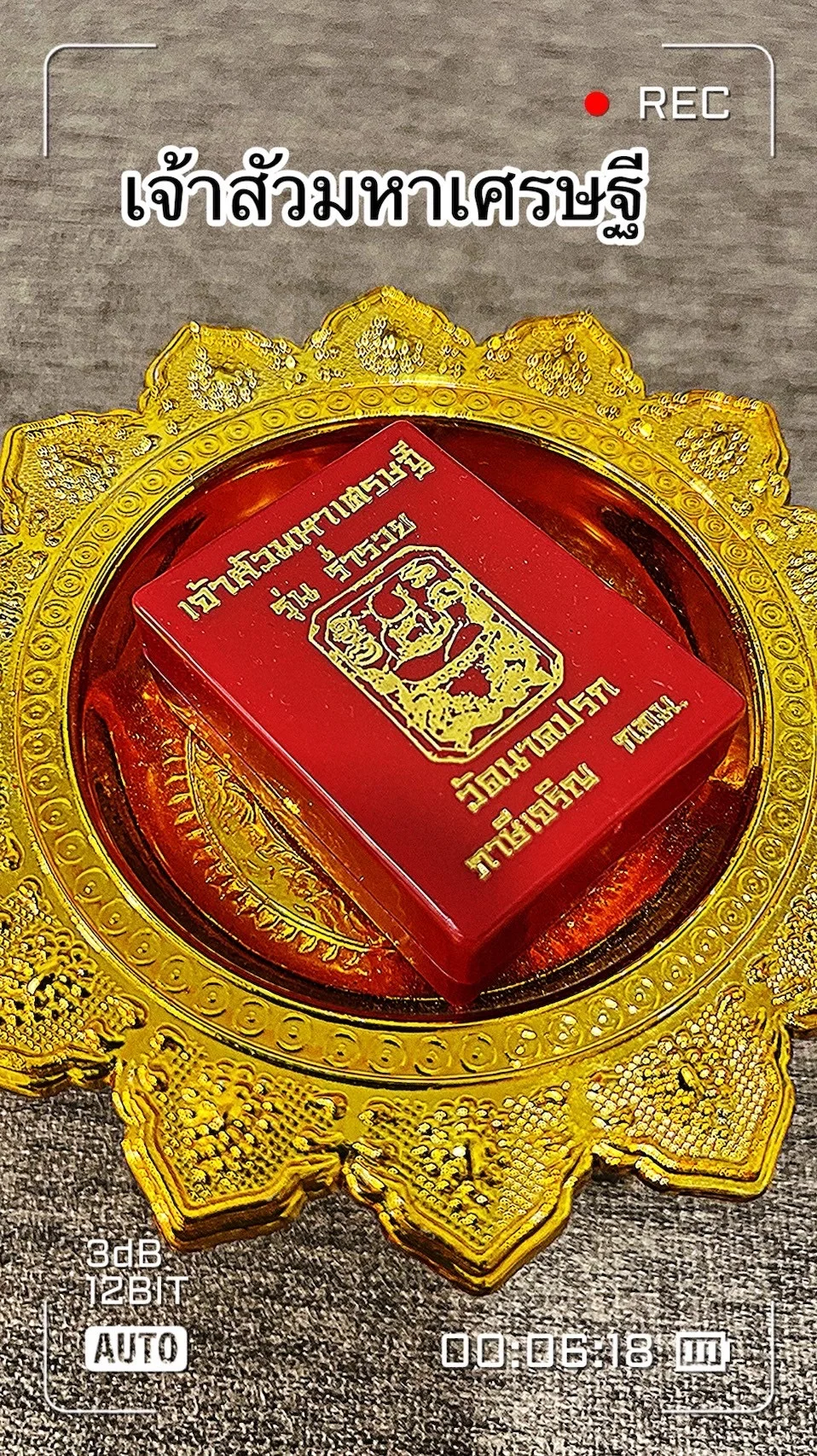 พาชมพระเจ้าสัวมหาเศรษฐี รุ่นร่ำรวยเนื้อกากยายักษ์