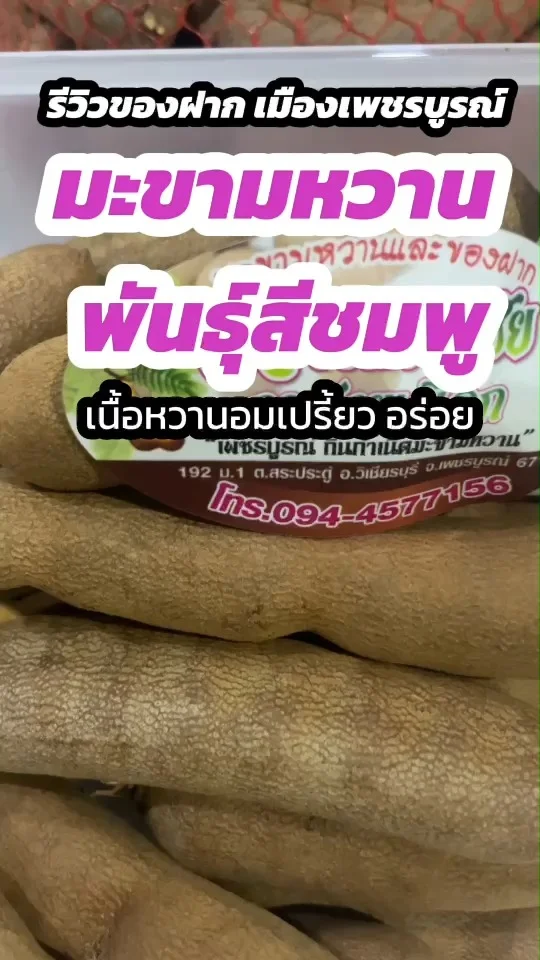 รีวิวของฝาก เมืองเพชรบูรณ์ มะขามหวาน พันธุ์สีชมพู เนื้อหวานอมเปรี้ยว อร่อย