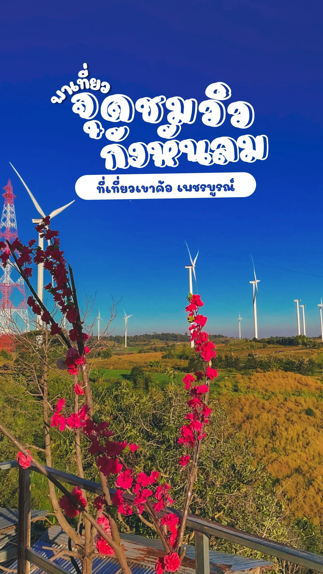 พาเที่ยว จุดชมวิวกังหันลม ที่เที่ยวเขาค้อ เพชรบูรณ์