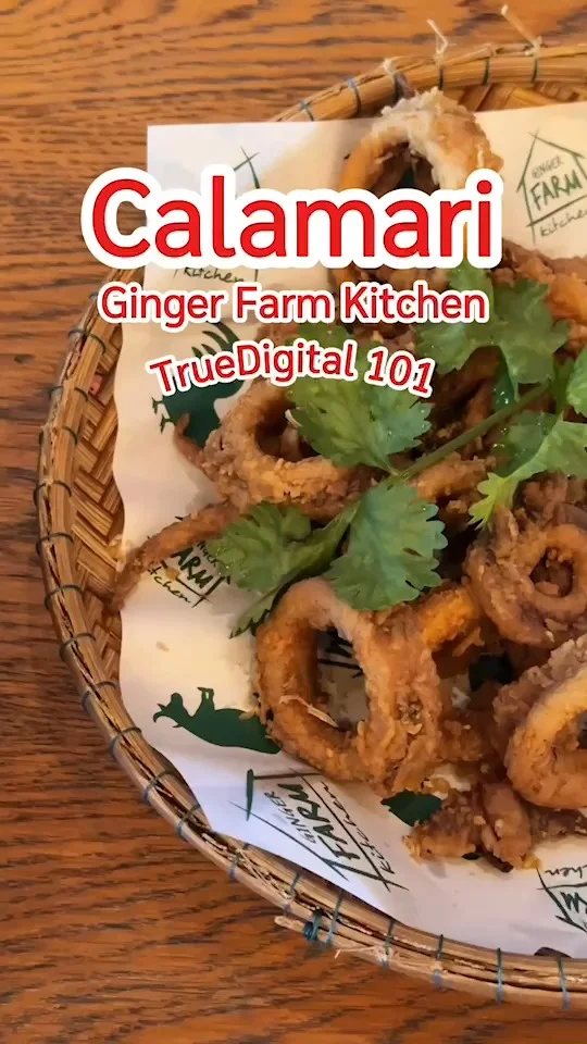 รีวิว Calamari ปลาหมึกทอดคาลามารี่พริกเกลือ ที่จินเจอร์ฟาร์ม เมนูอร่อยที่ควรสั่ง