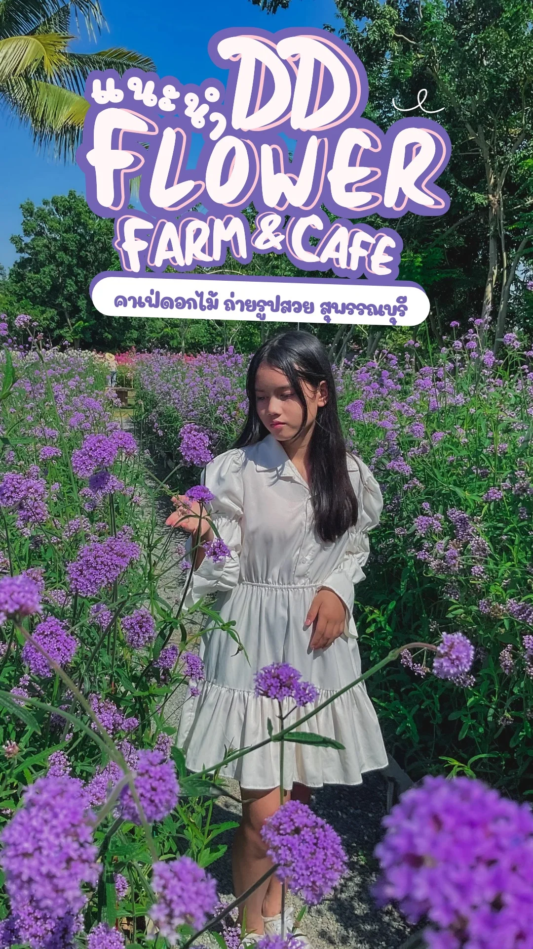 DD Flower Farm คาเฟ่ดอกไม้ ถ่ายรูปสวย สุพรรณบุรี ถ่ายรูปสวยใกล้กรุงเทพ