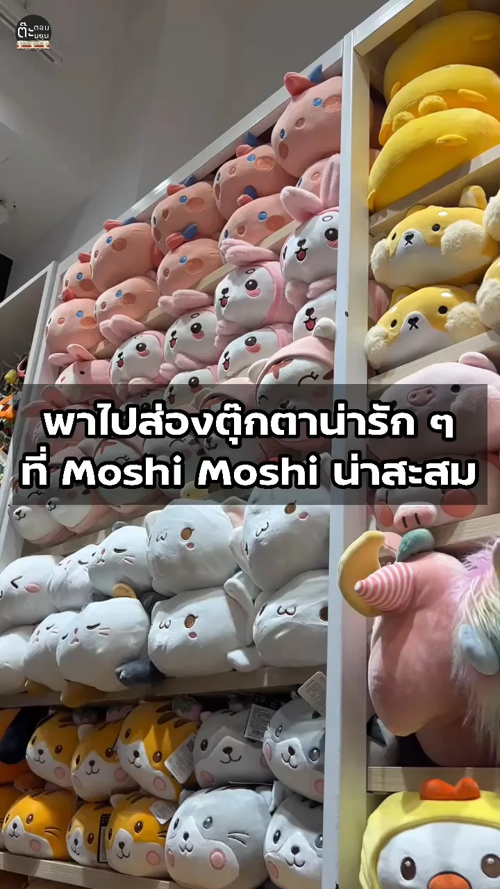 ส่องตุ๊กตาน่ารัก ๆ น่าซื้อ ที่ Moshi Moshi ใครชอบต้องสะสม!