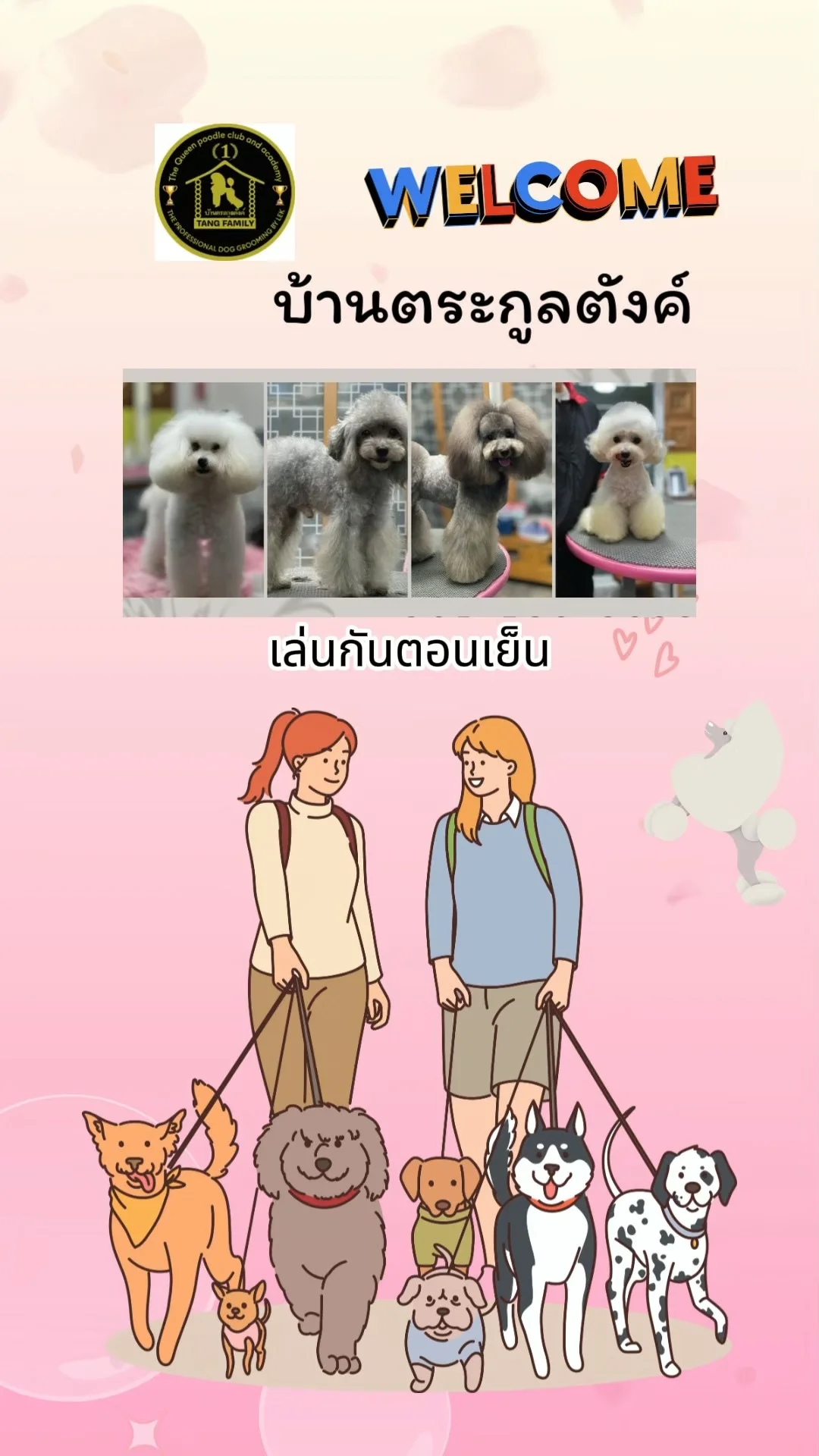 ชวนเล่นกับน้องสุนัขเด็กขนฟู หลังกินข้าวช่วงเย็นที่สนามหญ้า