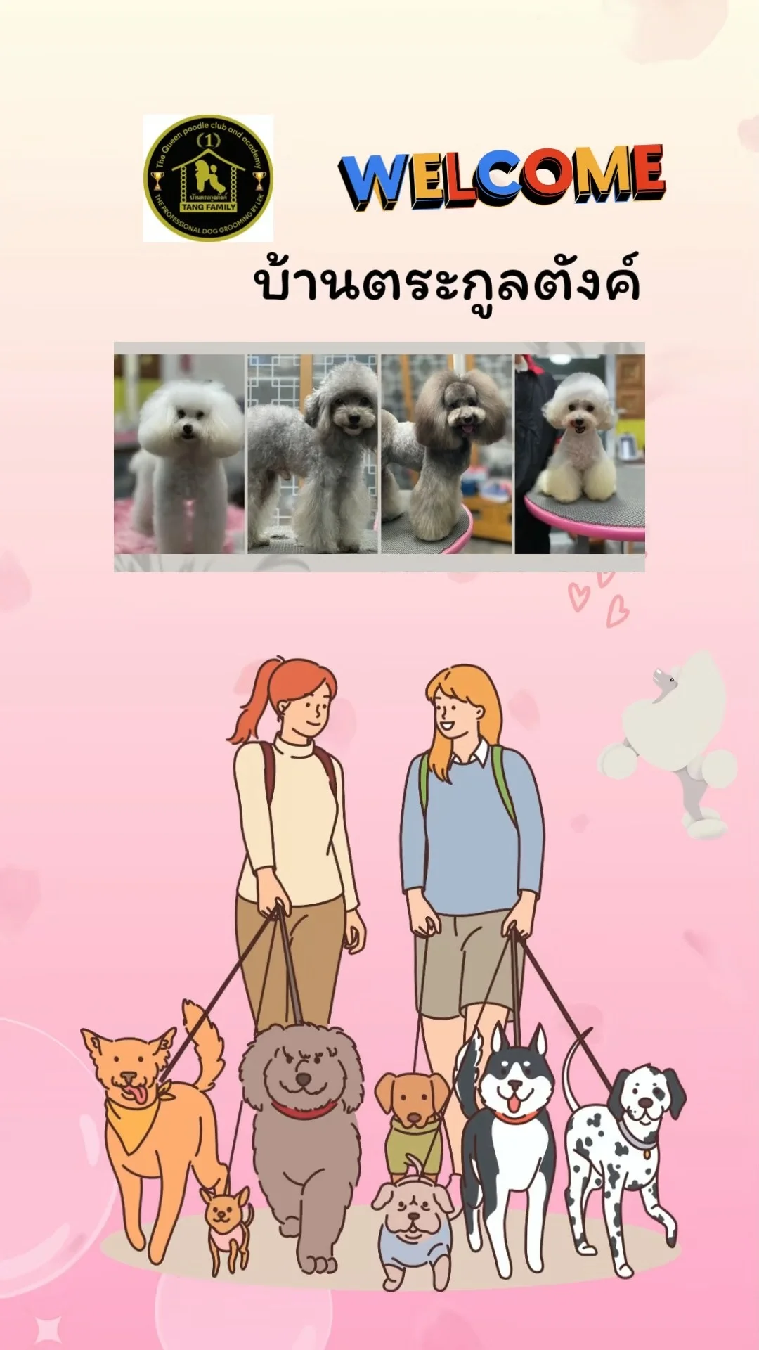 รีวิวตัดขนแมวเทาหัวกลม เสน่ห์แมวเทาหน้างอ น้องนิ่งมาก!