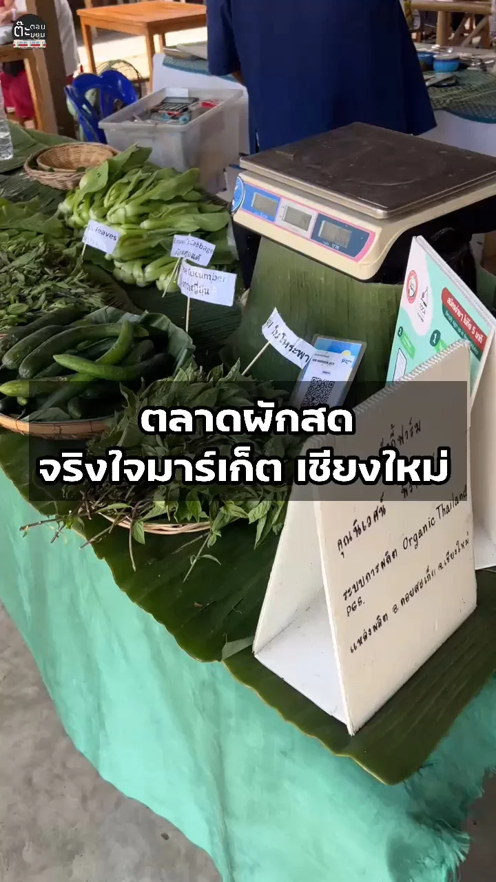 ส่องตลาดผักสด ส่งตรงจากเกษตรกร ที่จริงใจมาร์เก็ต เชียงใหม่
