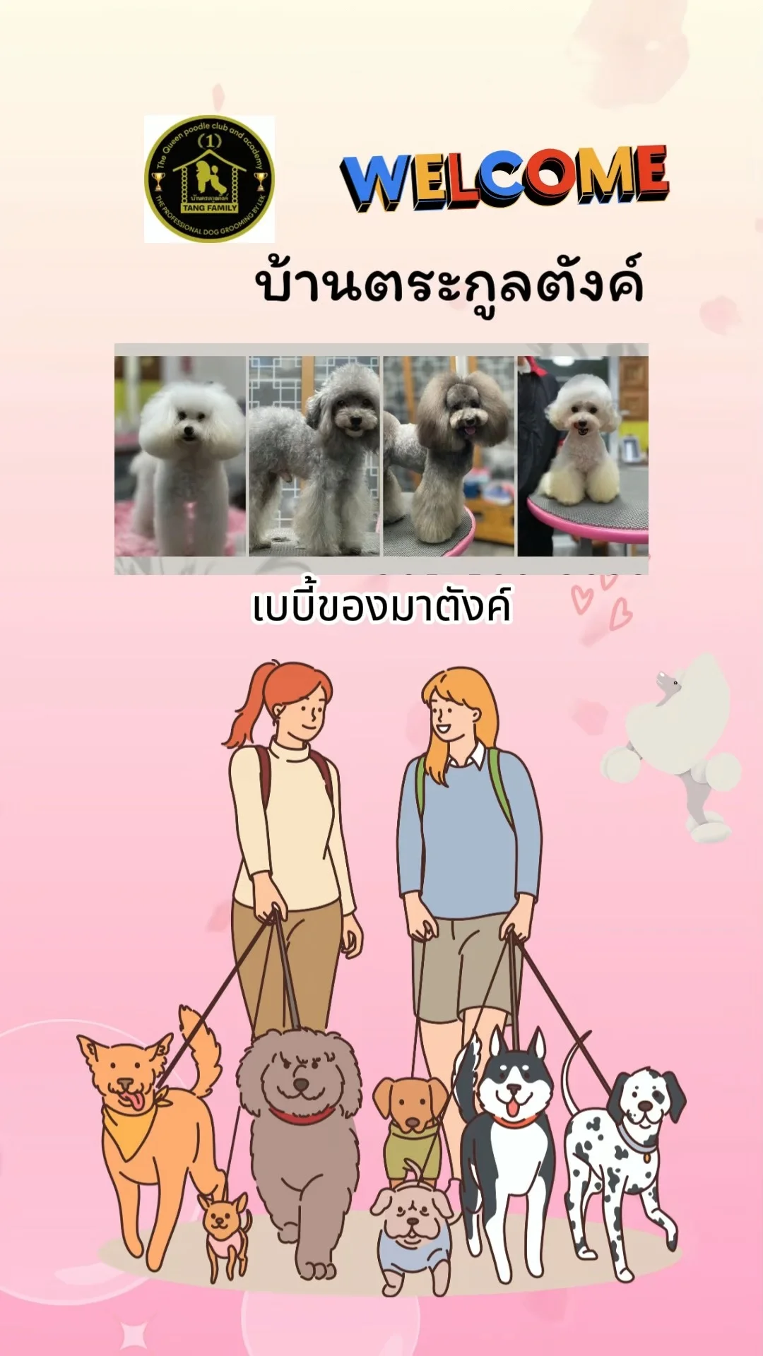 พาดูเบบี้สุนัขเด็กเพิ่งคลอด 3 ตัว ของคุณแม่มาตังค์เจ้าสุนัขสุดสวยประจำบ้าน