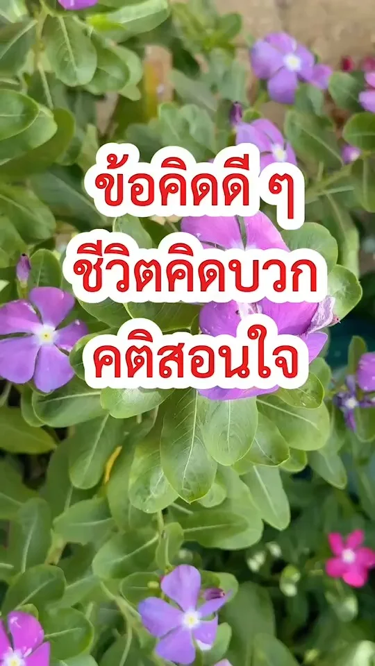 มัดรวม 5 ข้อคิดดี ๆ ชีวิตคิดบวก คติสอนใจ หาแรงบันดาลใจดี ๆ