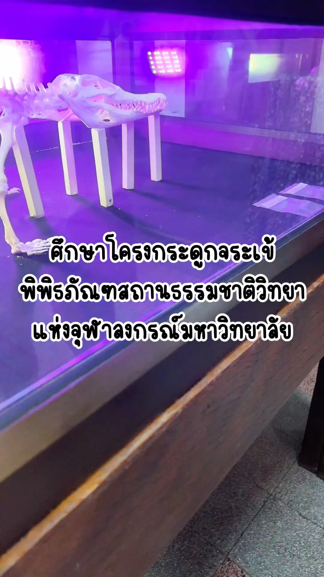 พาไปศึกษาโครงกระดูก พิพิธภัณฑสถานธรรมชาติวิทยา จุฬาฯ