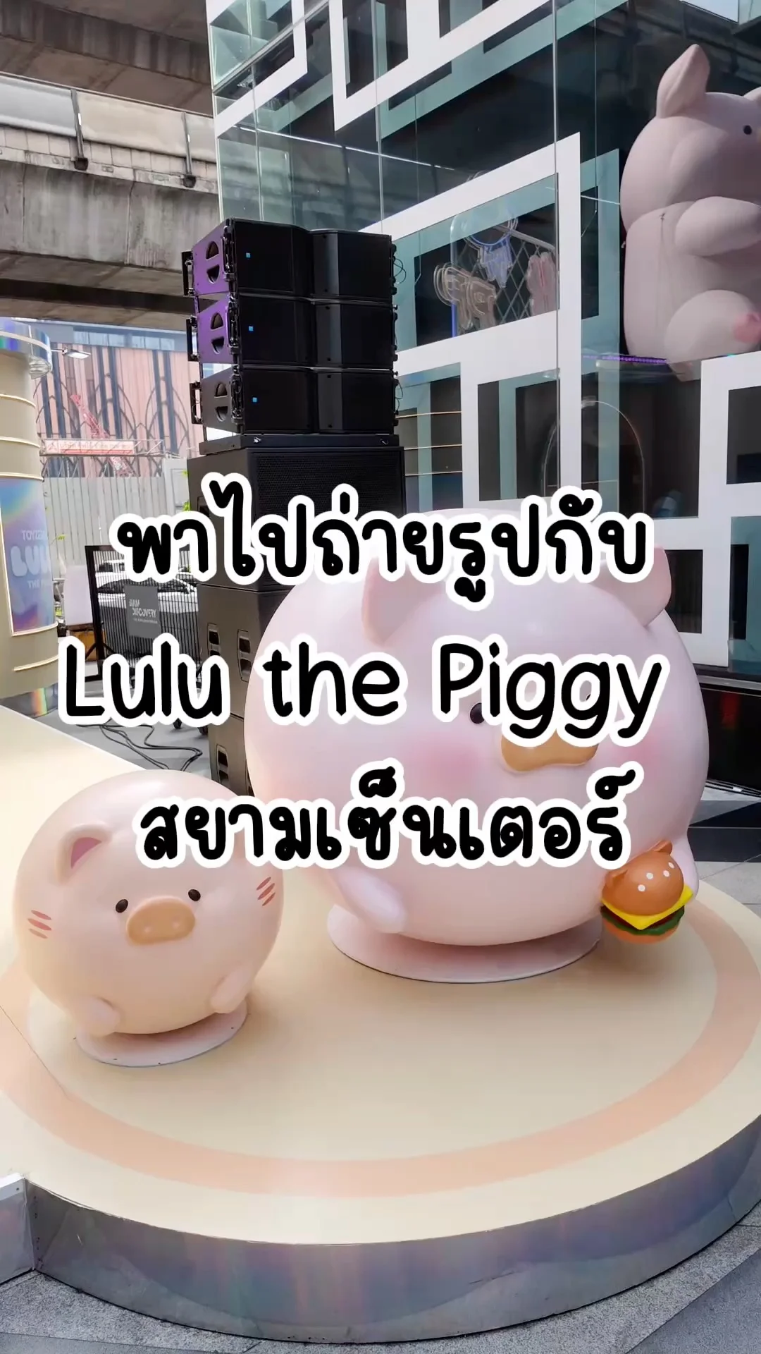 ไปถ่ายรูปกับ Lulu the Piggy กำลังกินเบอร์เกอร์ ที่สยามเซ็นเตอร์