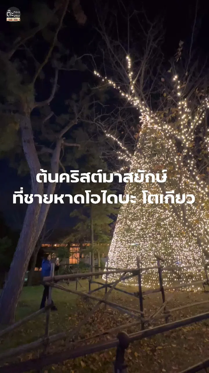 ชมต้นคริสต์มาสยักษ์ที่ชายหาดโอไดบะ กรุงโตเกียว ญี่ปุ่น