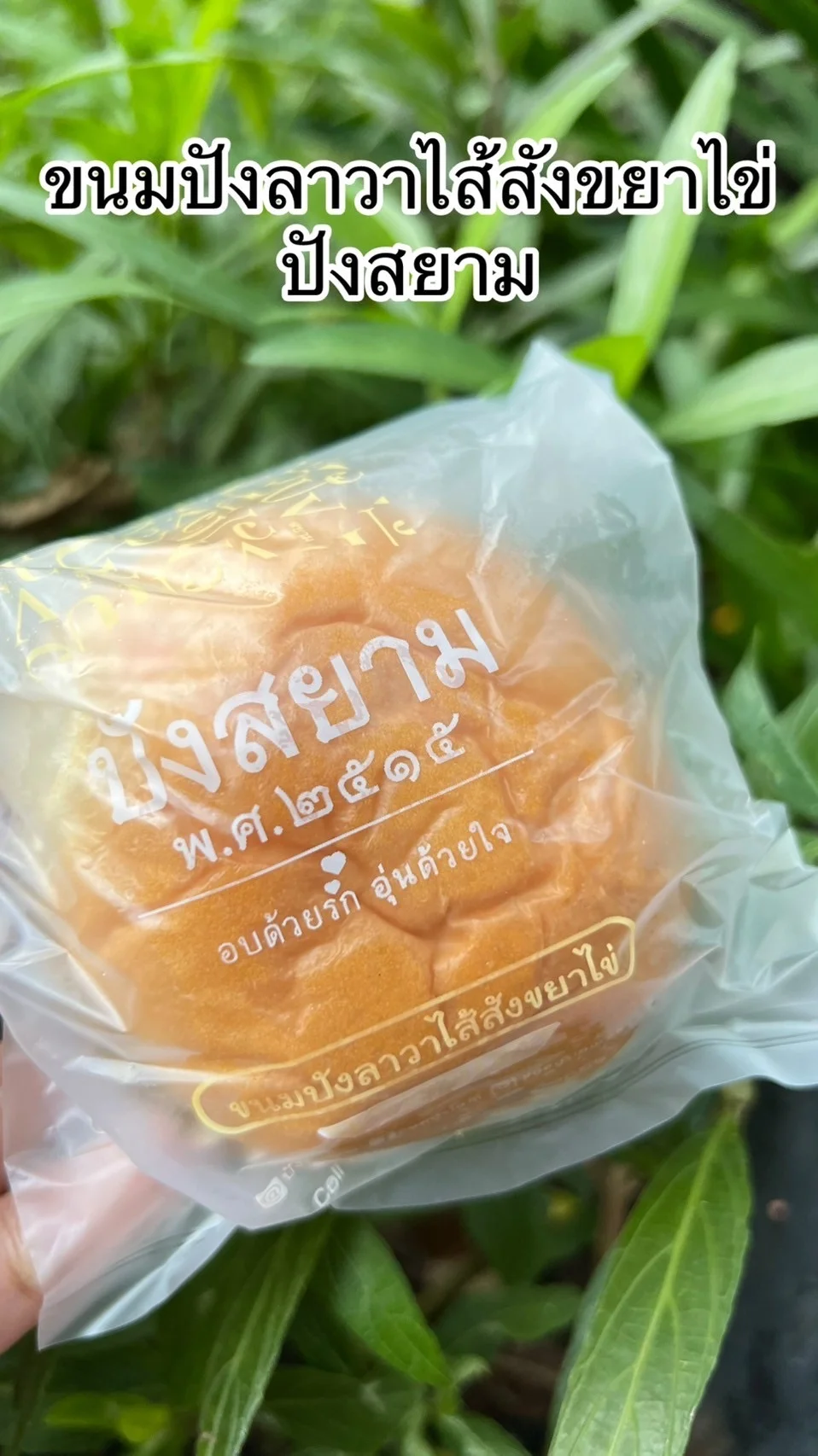 รีวิว ขนมปังลาวาไส้สังขยาไข่นุ่มอร่อย จากร้านปังสยาม