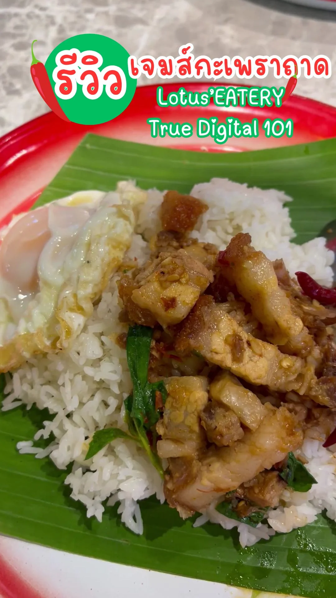 เจมส์กะเพราถาด Lotus’EATERY True Digital 101 เมนูหลากหลาย รสชาติดี