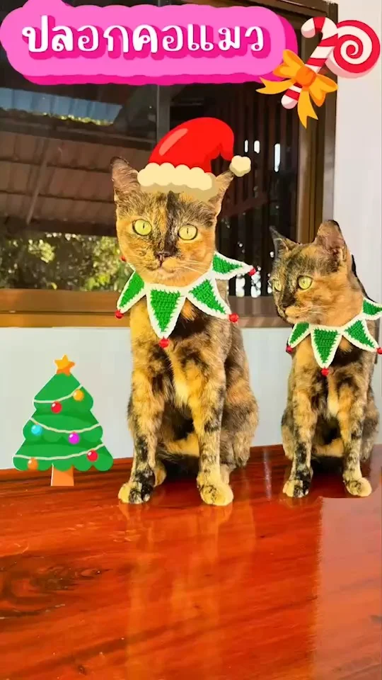 ปลอกคอแมวธีมคริสต์มาส เครื่องประดับที่มนุษย์ทาสต้องเตรียมให้พร้อมกับเทศกาล