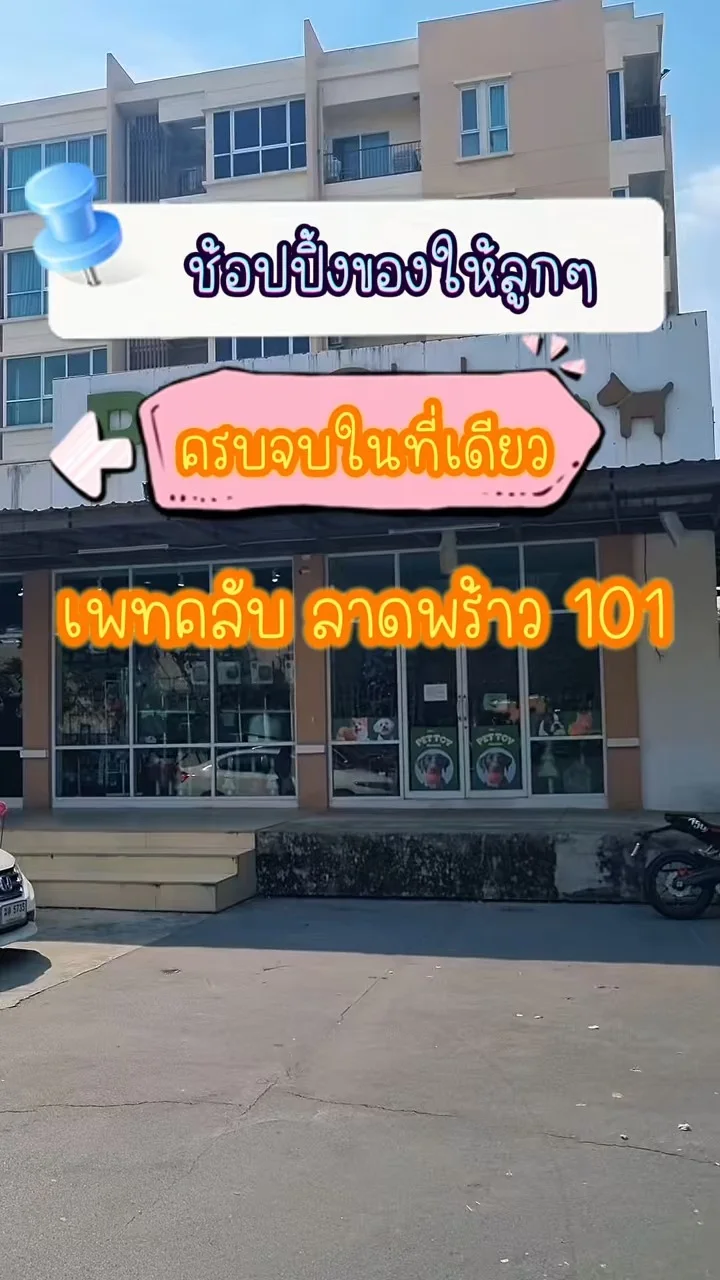 เพทคลับลาดพร้าว 101 มีครบทั้งของใช้สัตว์เลี้ยง บริการอาบน้ำตัดขน รับฝากเลี้ยง