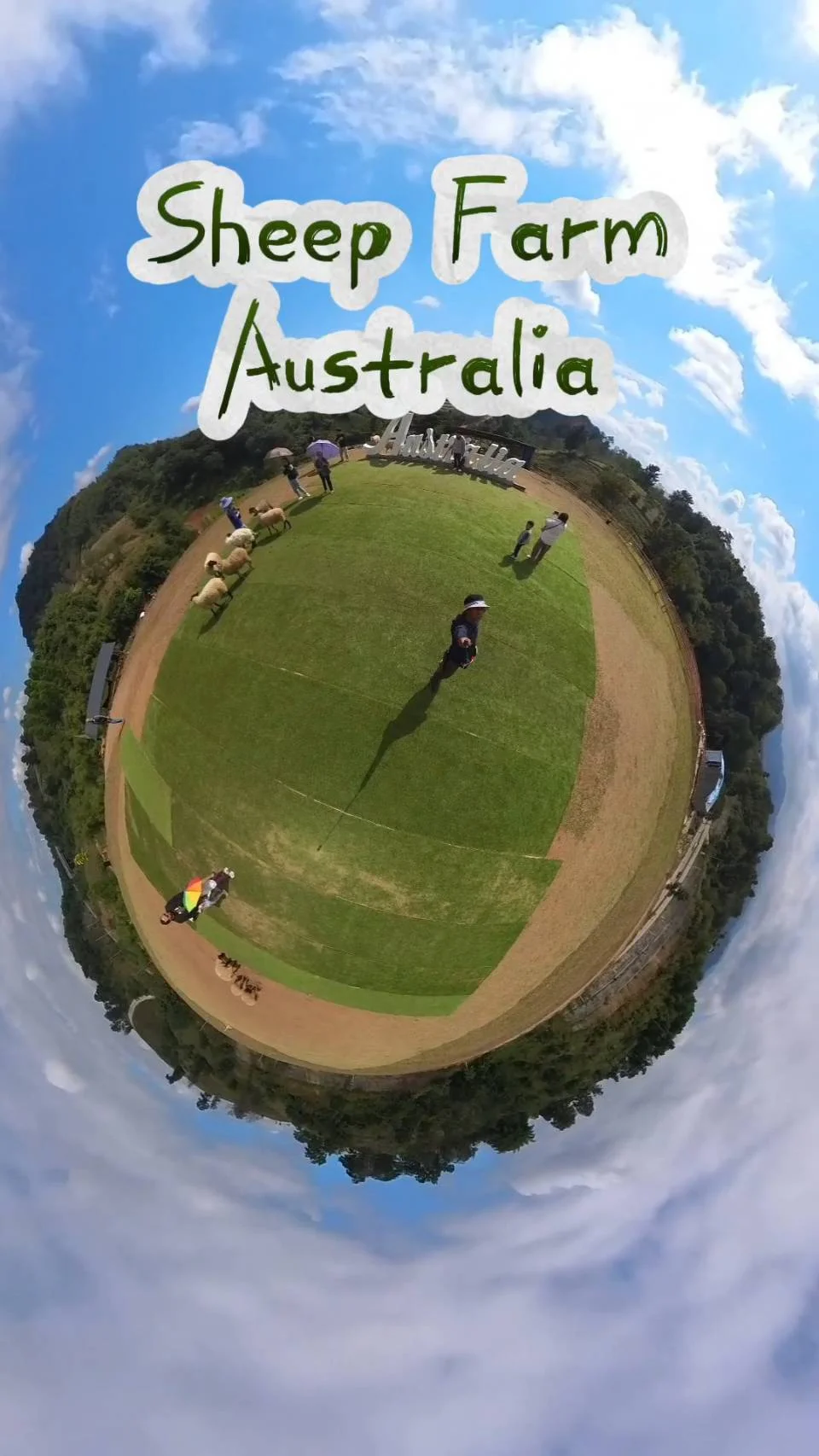 Sheep Farm Australia เชียงราย ฟาร์มแกะสุดคูลฟีลออสแท้ๆ ที่ต้องมา!