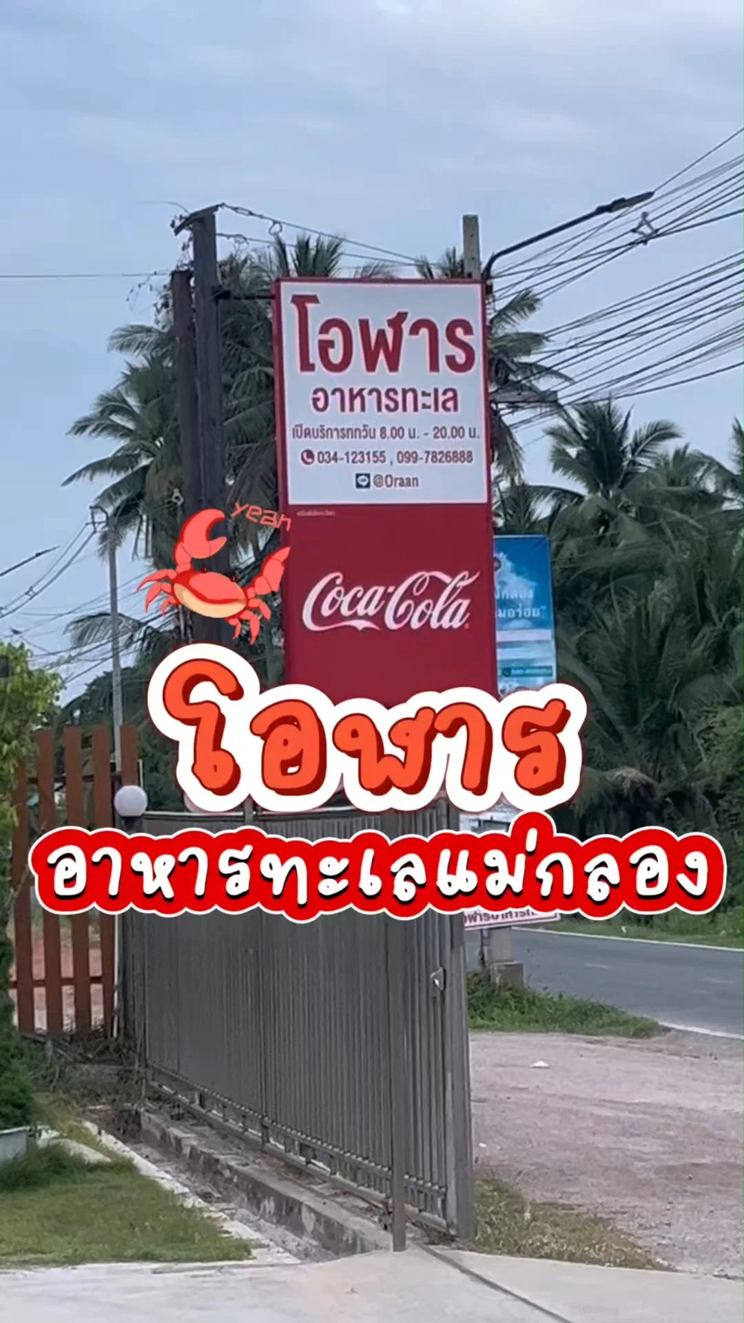 รีวิว ร้านโอฬาร สมุทรสงคราม อาหารทะเลจานยักษ์ กินตามรอยร้านเด็ดทรูชวนชิม