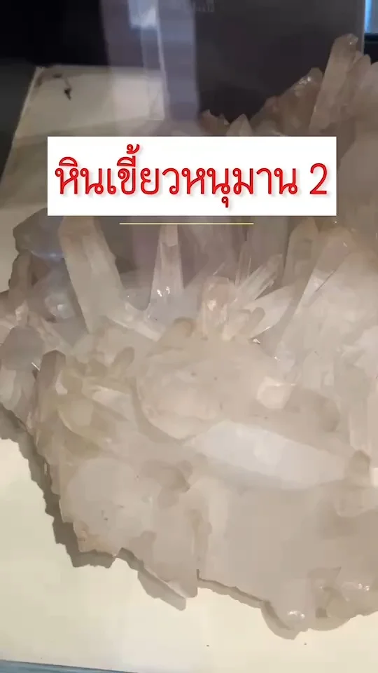 หินเขี้ยวหนุมาน สรรพคุณ 108 หินแห่งโชคลาภ เมตตามหานิยม