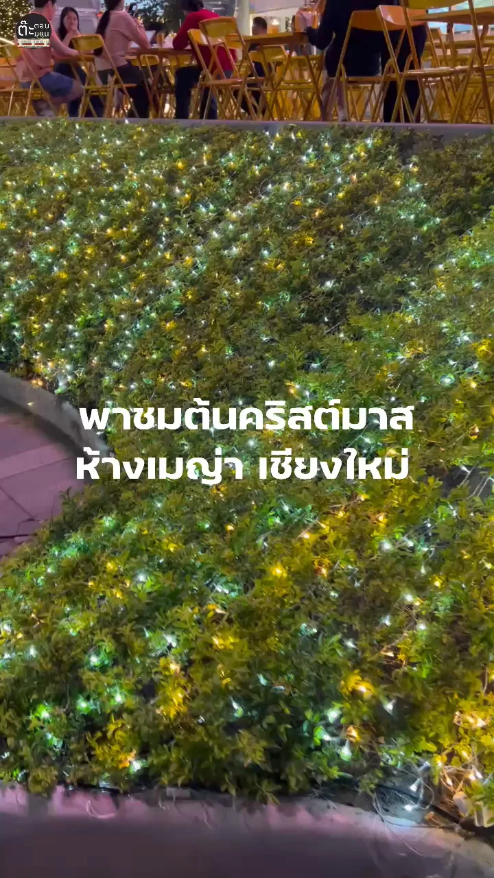 พาชมต้นคริสต์มาส ใหญ่กลางใจเมืองเชียงใหม่ ที่ห้างเมญ่า นิมมาน