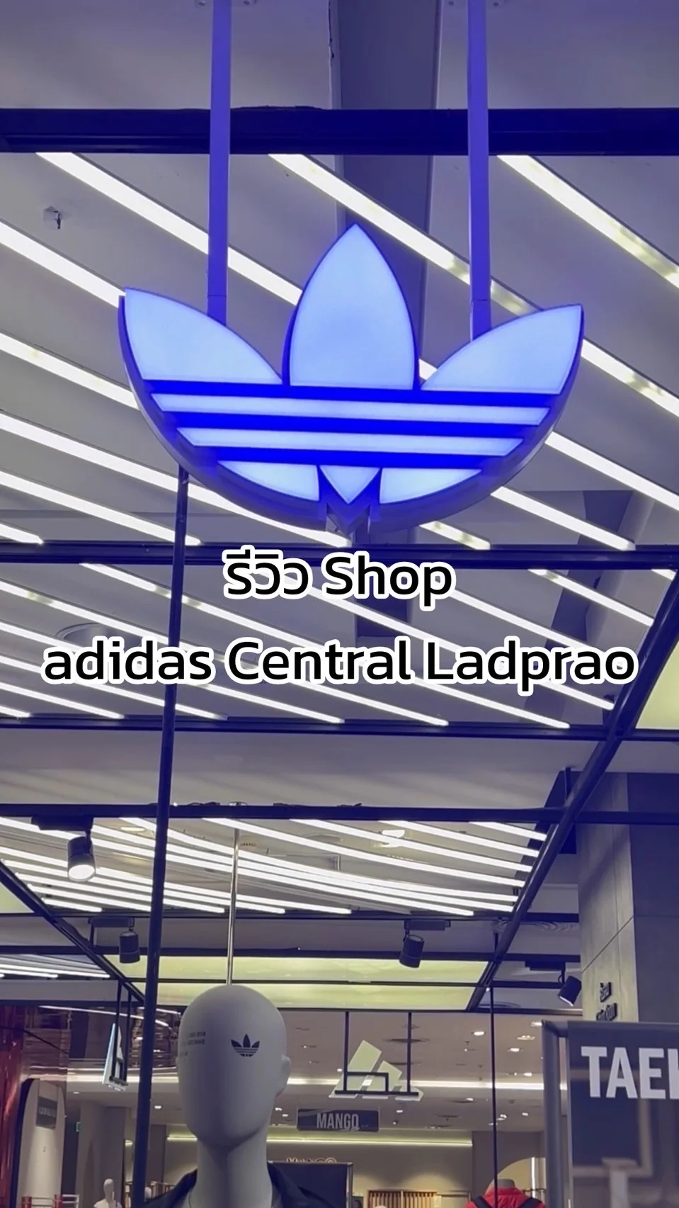 รีวิว shop adidas เหมาะสำหรับสายแฟชั่นที่กำลังตามหาชุดกีฬาและรองเท้าฮิต