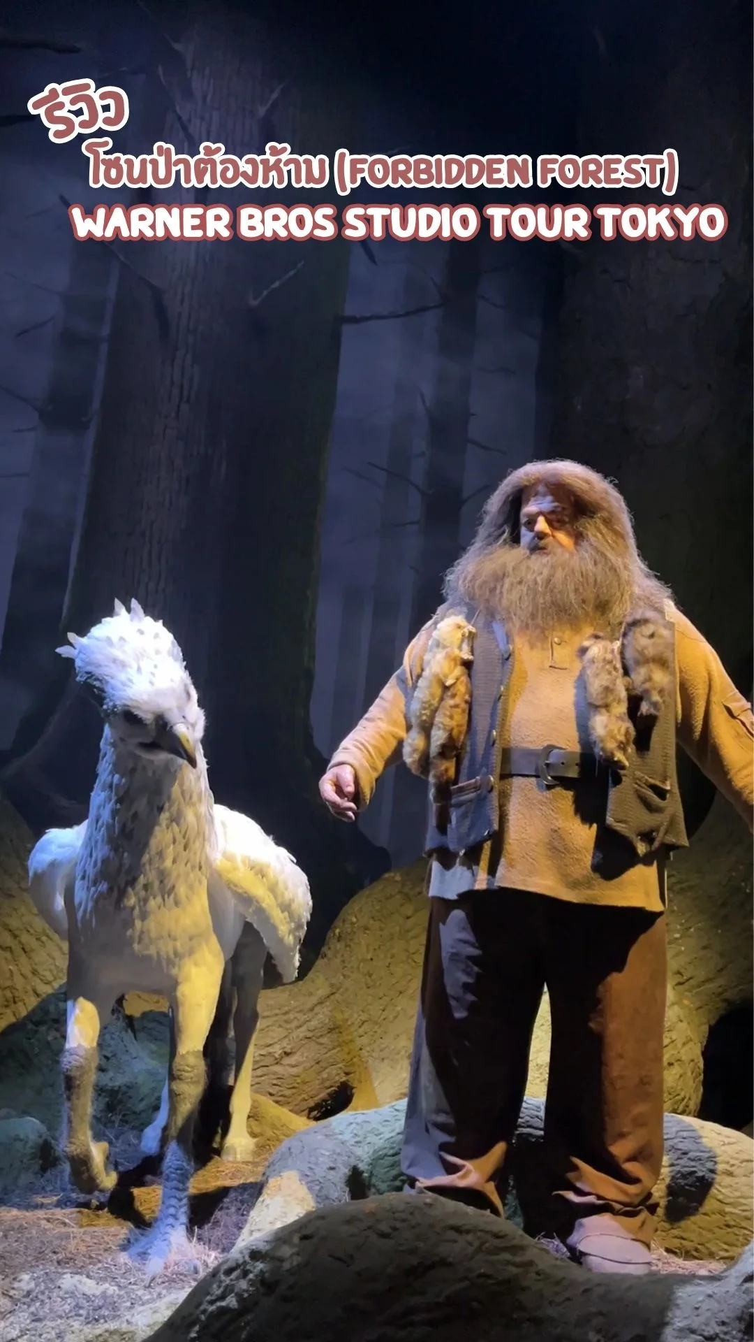 รีวิว โซนป่าต้องห้าม ( Forbidden Forest ) Waner Bros Studio  Tour Tokyo ญี่ปุ่น