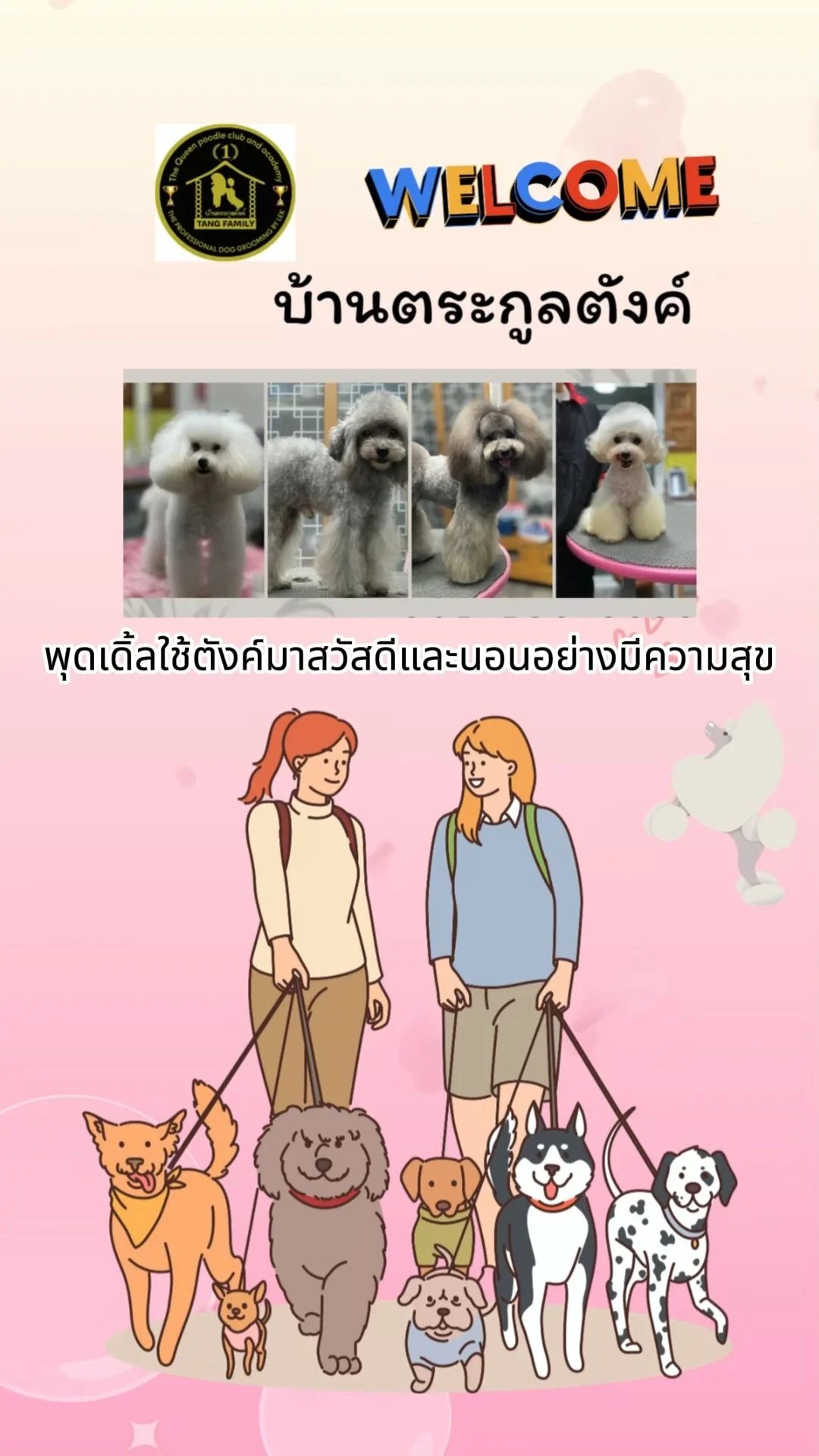พุดเดิ้ลใช้ตังค์มาสวัสดีและนอนอย่างมีความสุข