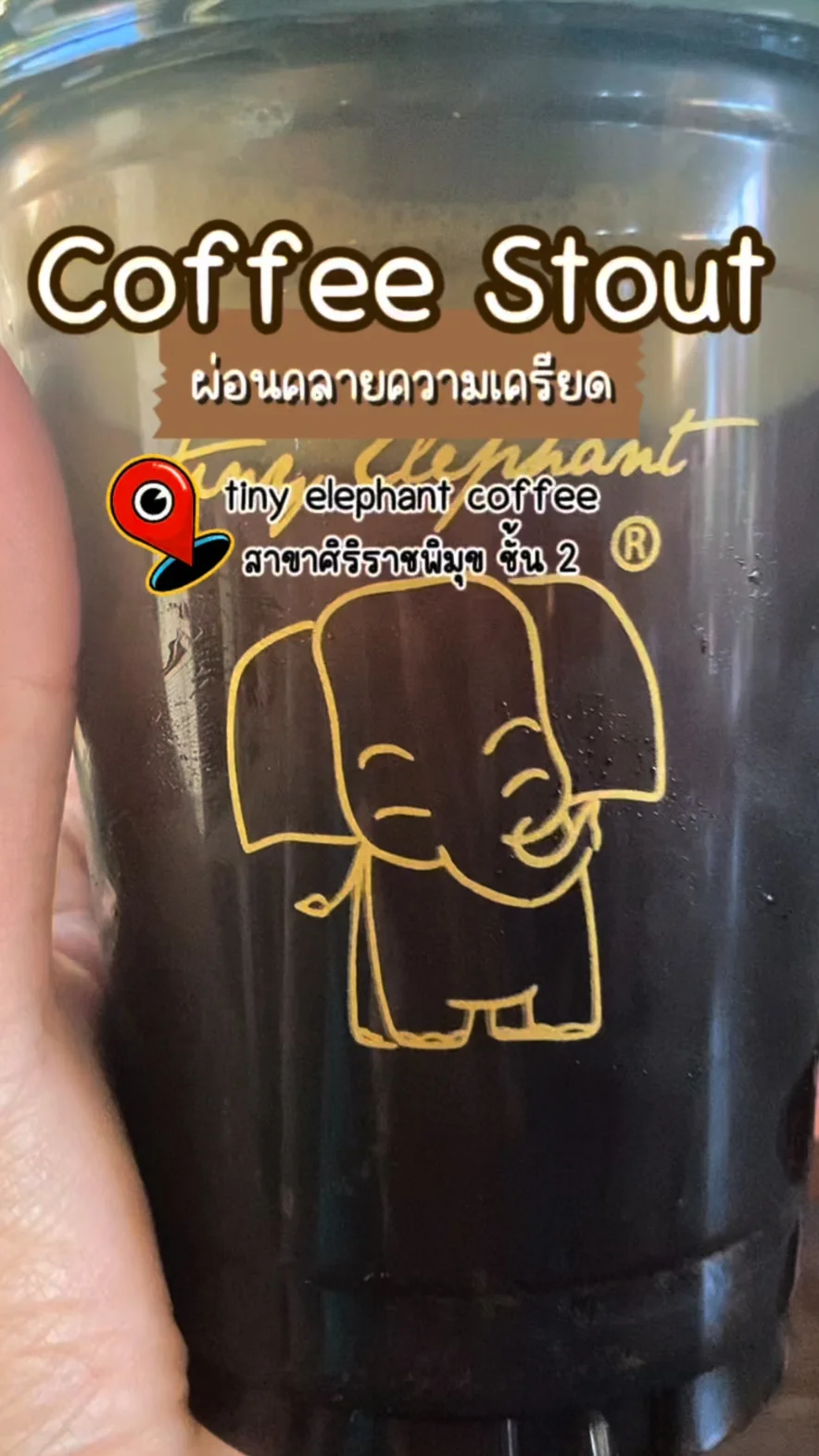 รีวิว Coffe Stout เมนูคลายเครียด Tiny Elephant Coffee ค่าเฟ่ลับของชาวศิริราช