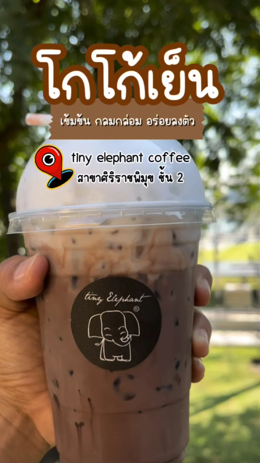 รีวิว โกโก้ Tiny Elephant Coffee ค่าเฟ่ลับของชาวศิริราช
