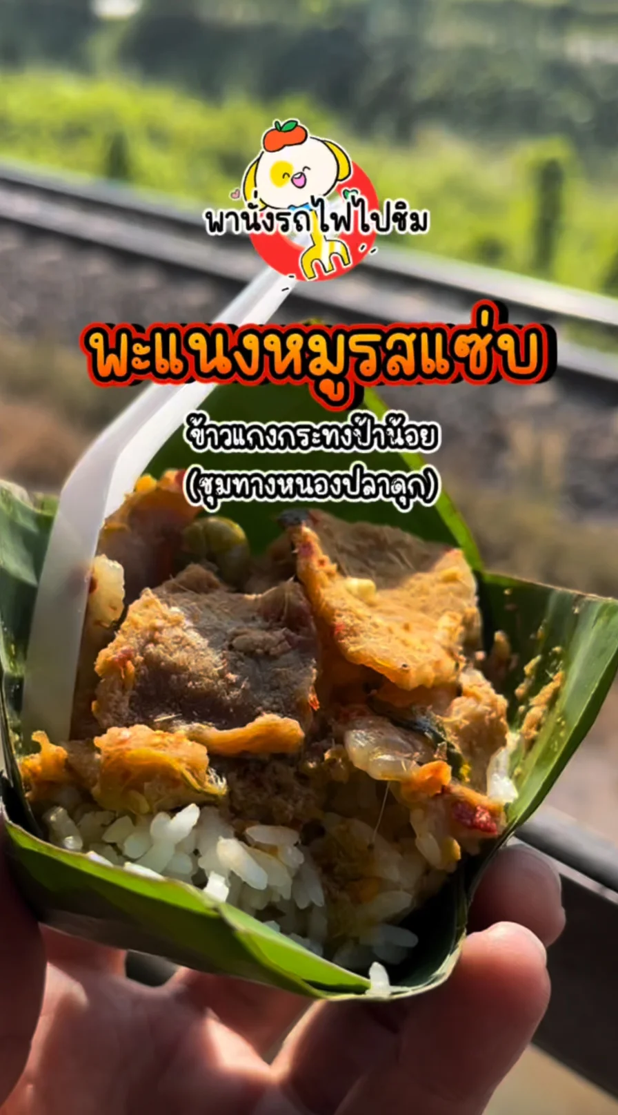 รีวิว ข้าวแกงกระทงป้าน้อย พะแนงหมู ราคา 10 บาท ที่สถานีชุมทางหนองปลาดุก