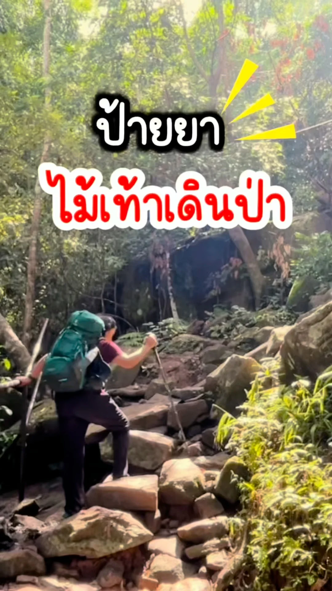 ป้ายยา ไม้เท้าเดินป่า ไอเท็มสำหรับชาวเดินป่าที่ควรมี ใช้ดีใช้คุ้ม