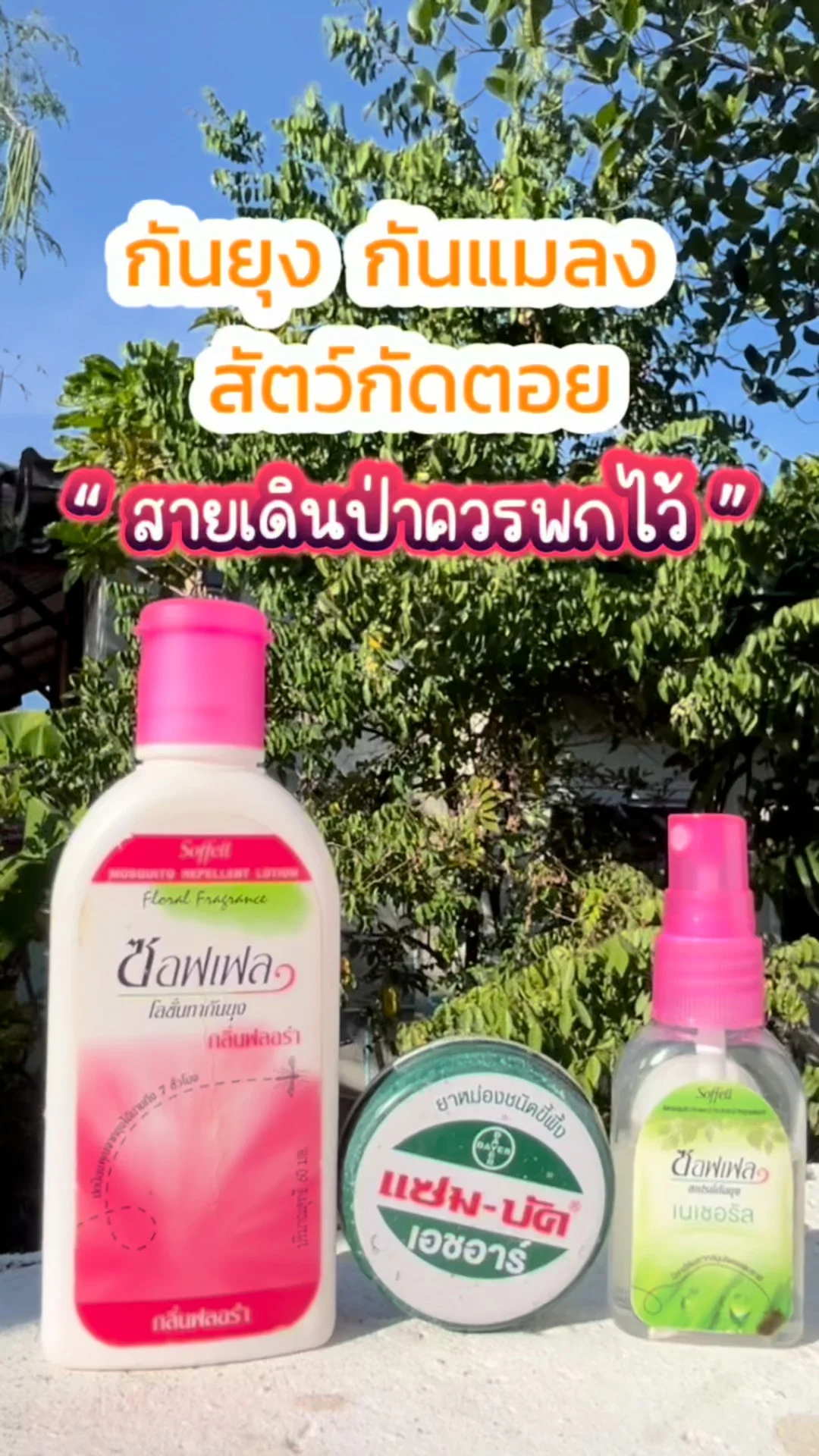 แนะนำ ยากันยุง ป้องกันแมลงสัตว์ กัดต่อย เวลาเดินป่า