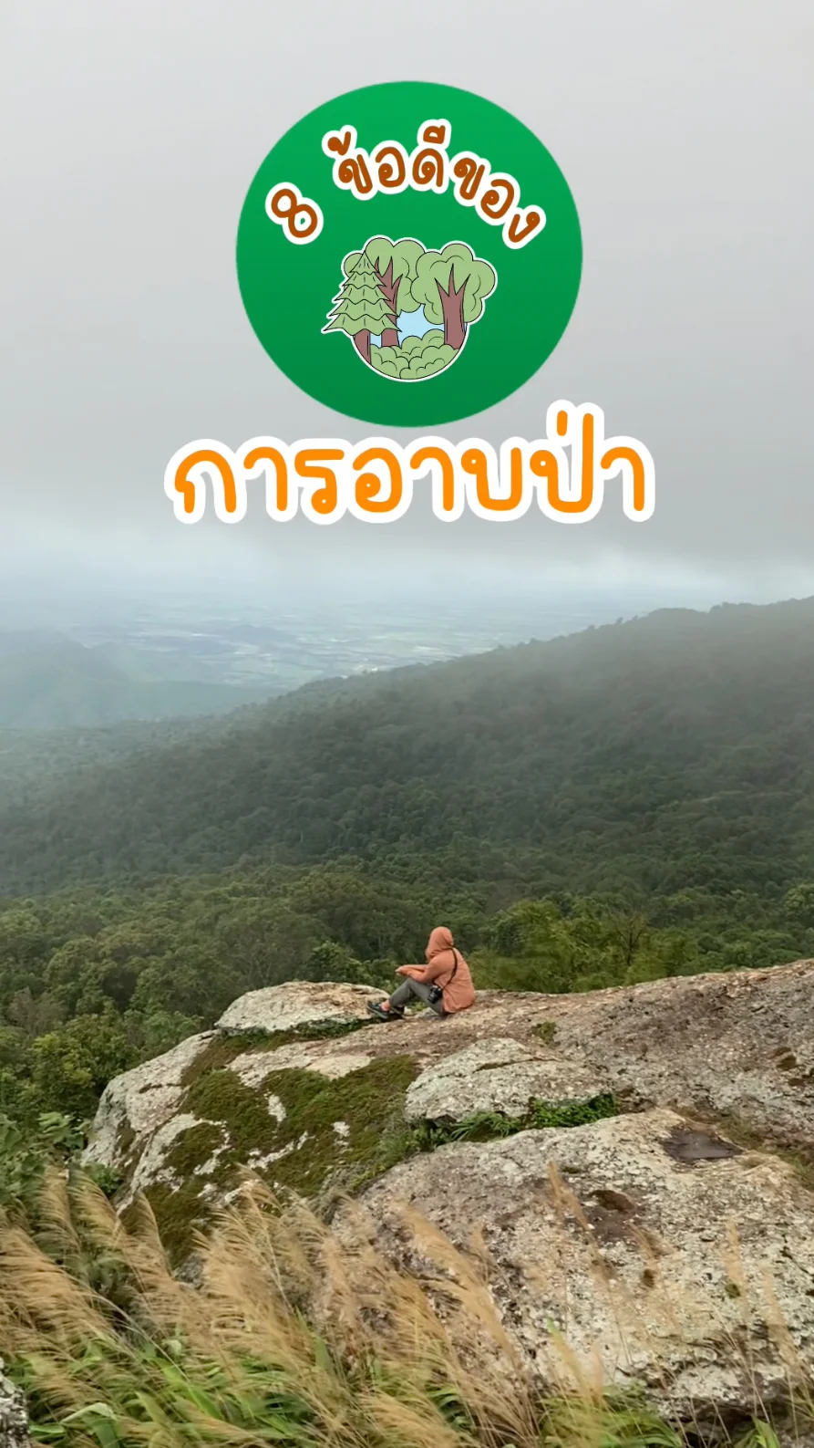 8 ข้อดีของการอาบป่า ท่ามกลางธรรมชาติ