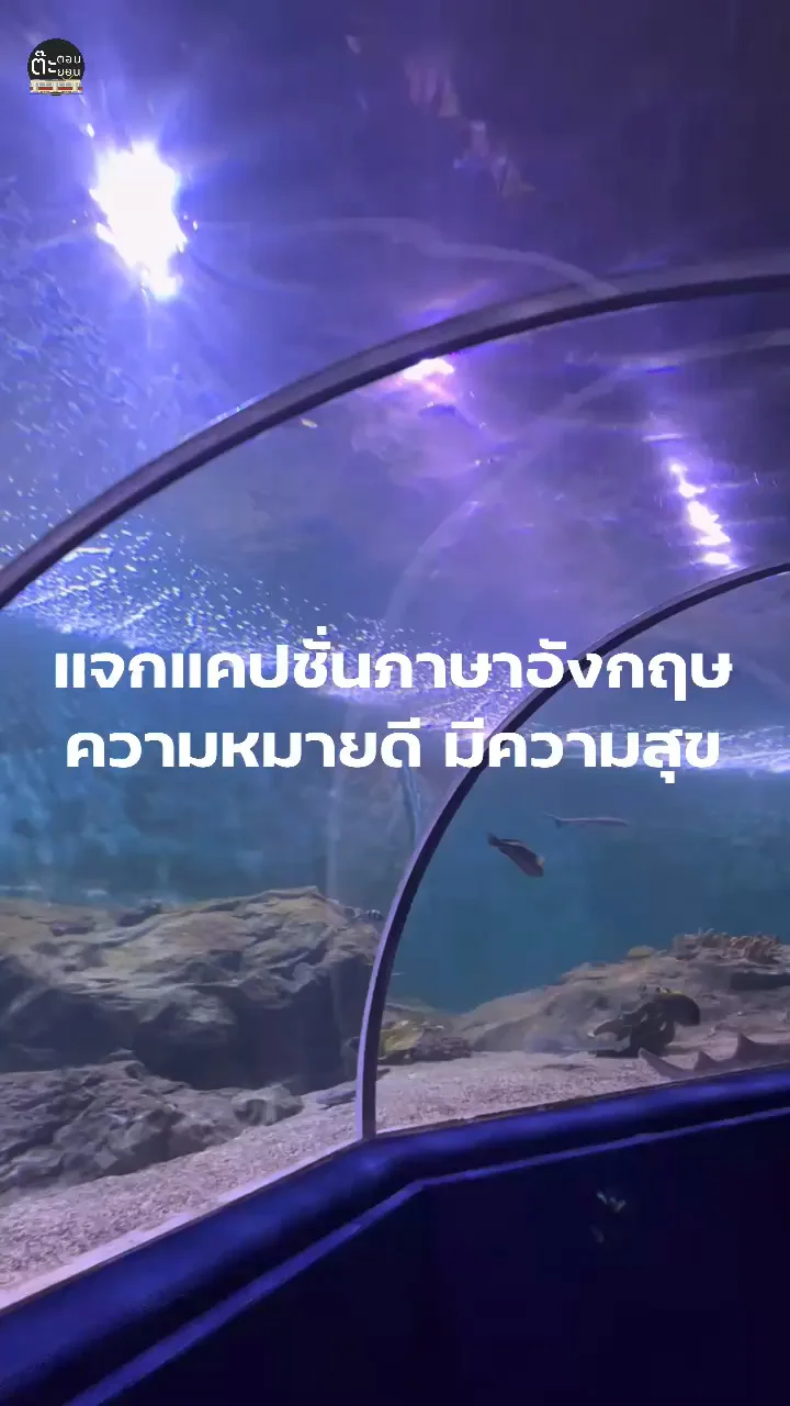 แจกแคปชั่นภาษาอังกฤษ ความหมายดี ใจฟู มีความสุข