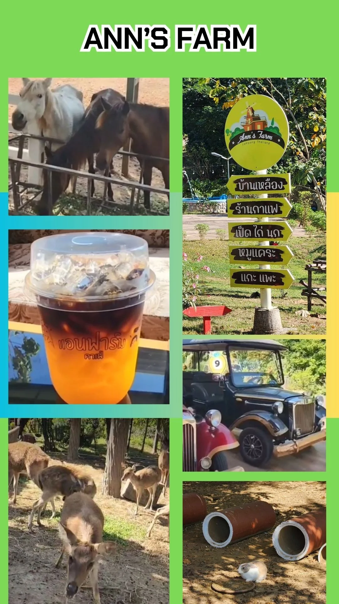 Ann’s Farm Lampang ร้านอาหาร ร้านกาแฟ และสวนสัตว์ขนาดเล็ก