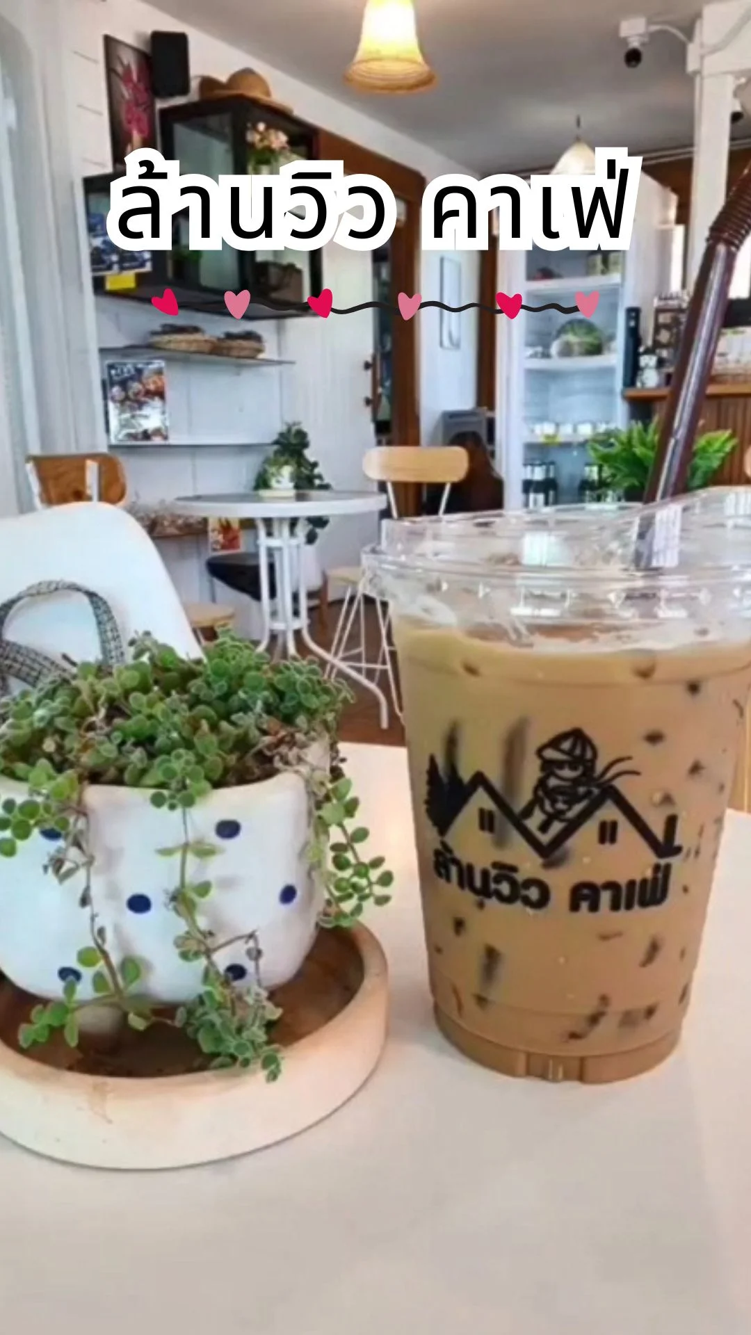 รีวิว ล้านวิว คาเฟ่ จ.ลำปาง บ้านนาฟานแม่ทะ บรรยากาศดีให้อาหารสัตว์