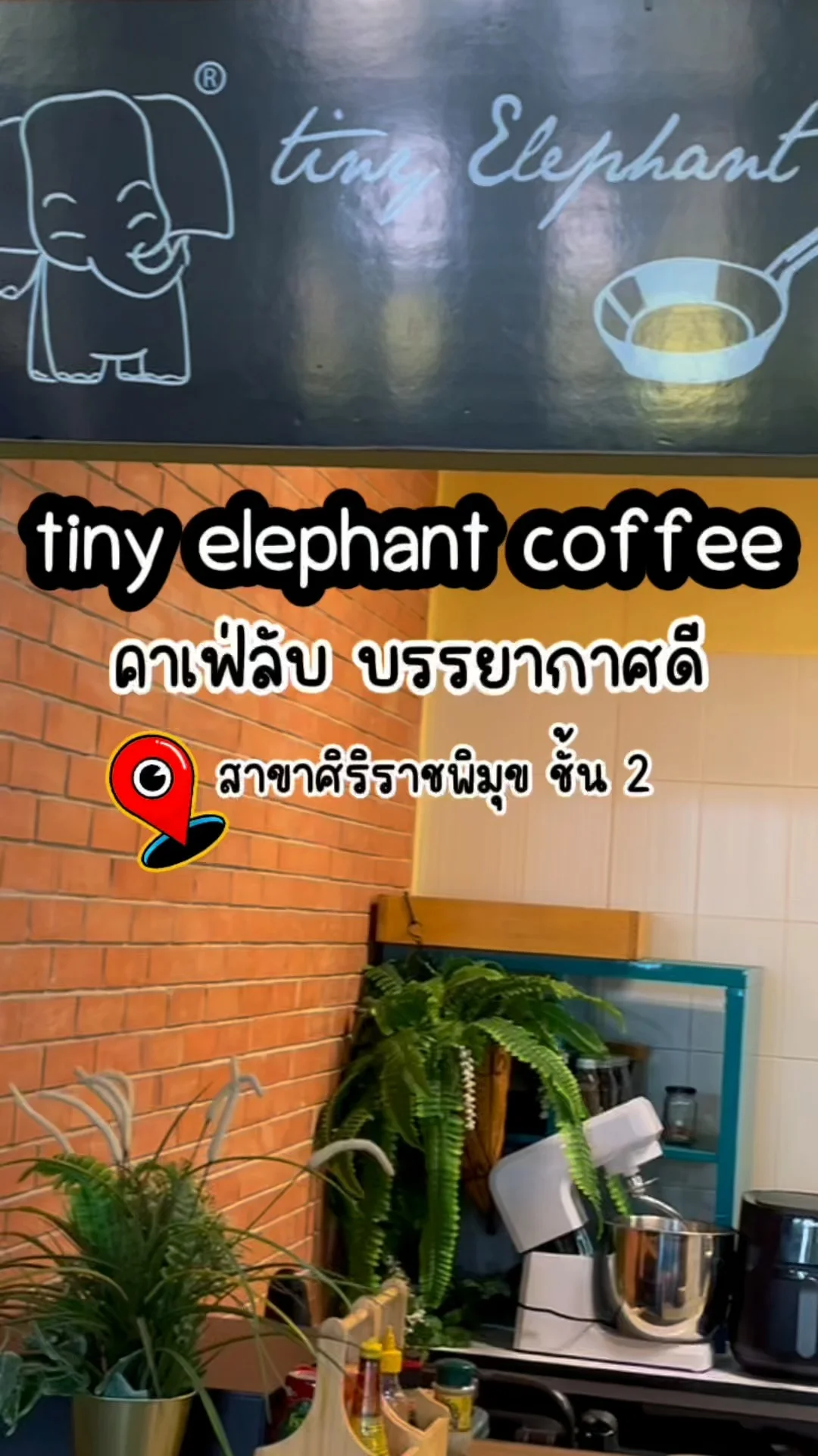 รีวิว Tiny Elephant Coffee คาเฟ่ลับของชาวศิริราช