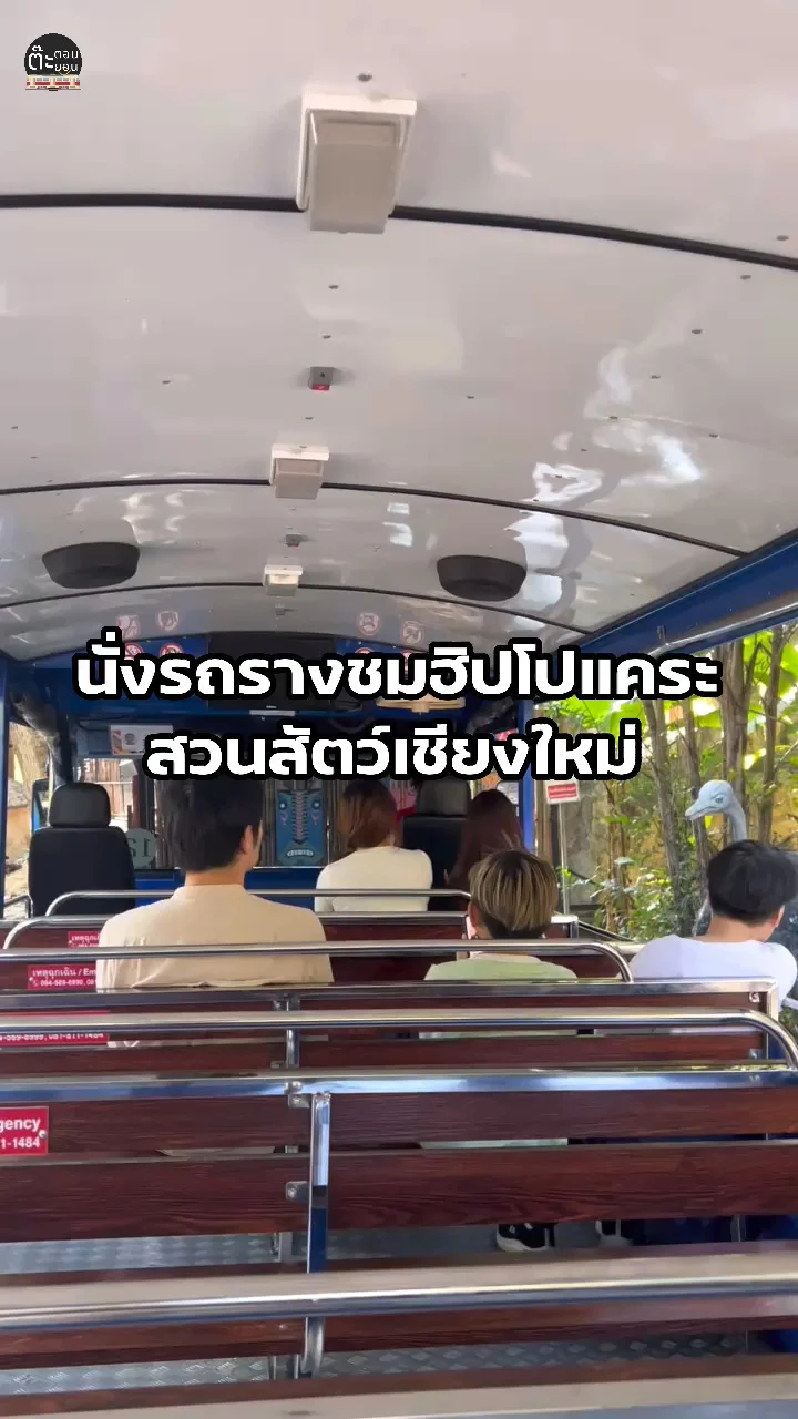 พานั่งรถรางชมฮิปโปแคระ ที่สวนสัตว์เชียงใหม่