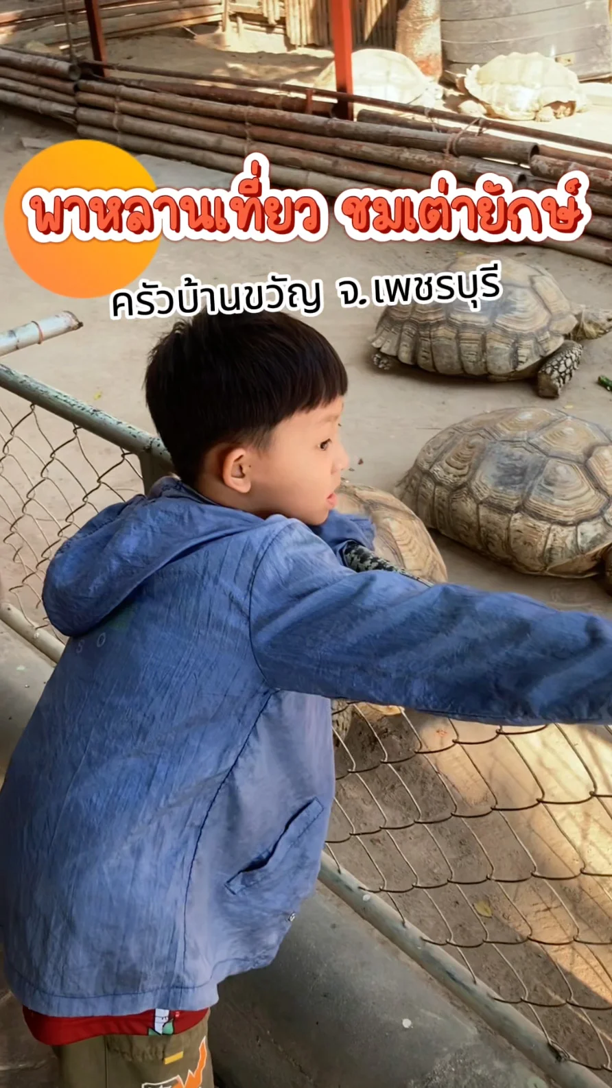 พาหลานเที่ยว ครัวบ้านขวัญ จ.เพชรบุรี ชมเต่ายักษ์