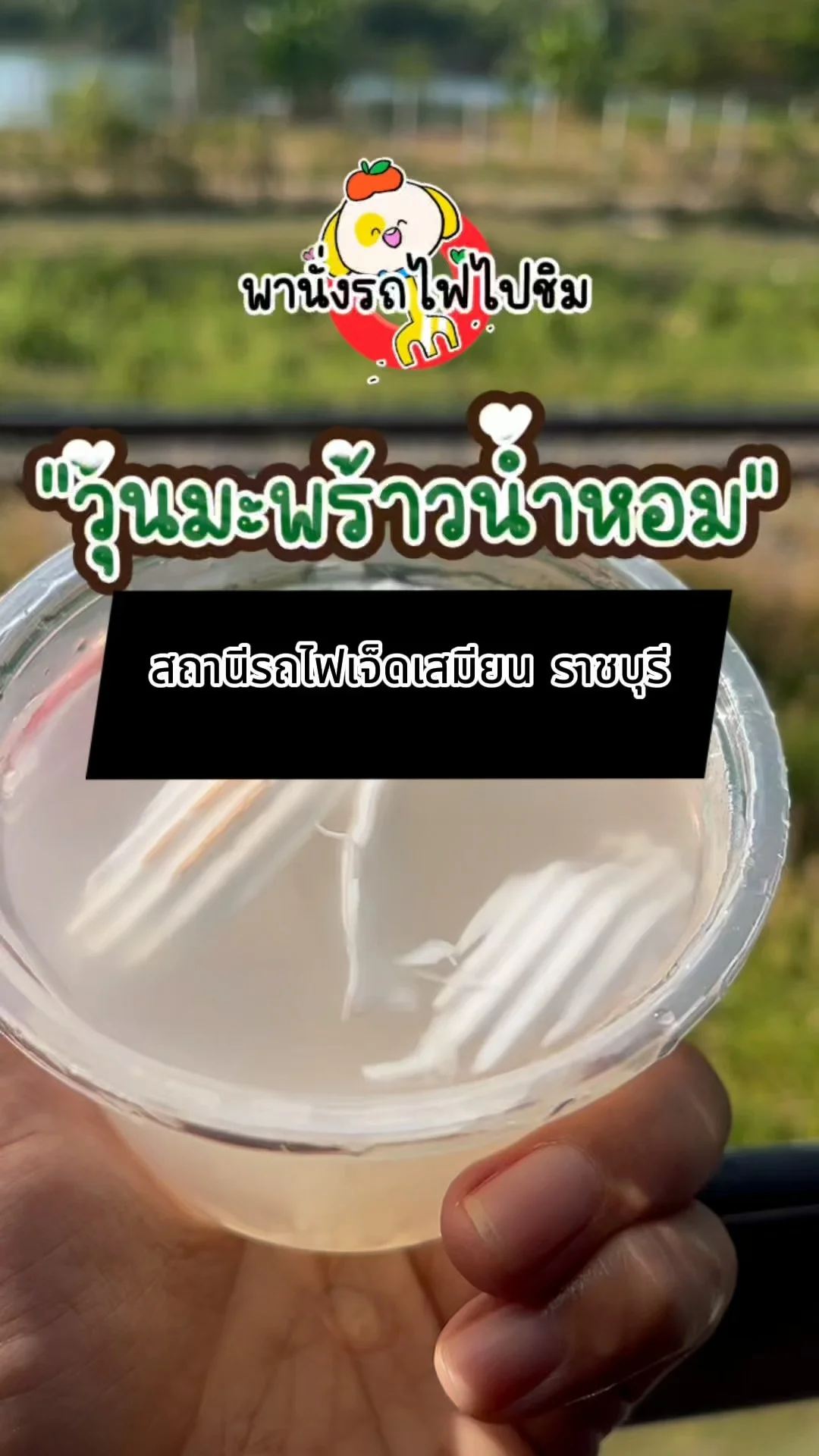 วุ้นมะพร้าวน้าหอม สถานีรถไฟเจ็ดเสมียน ราชบุรี อร่อยต้องลอง #FoodOnTrain