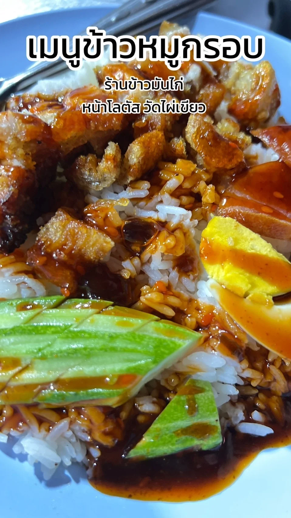 รีวิว เมนูข้าวหมูกรอบ อร่อย จากร้านข้าวมันไก่หน้าโลตัส วัดไผ่เขียว