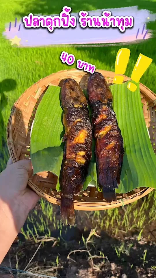 รีวิว ร้านปลาดุกปิ้ง ตัวละ 40 บาทเท่านั้น อาหารยอดนิยมของคนไทย ย่างด้วยเตาถ่าน