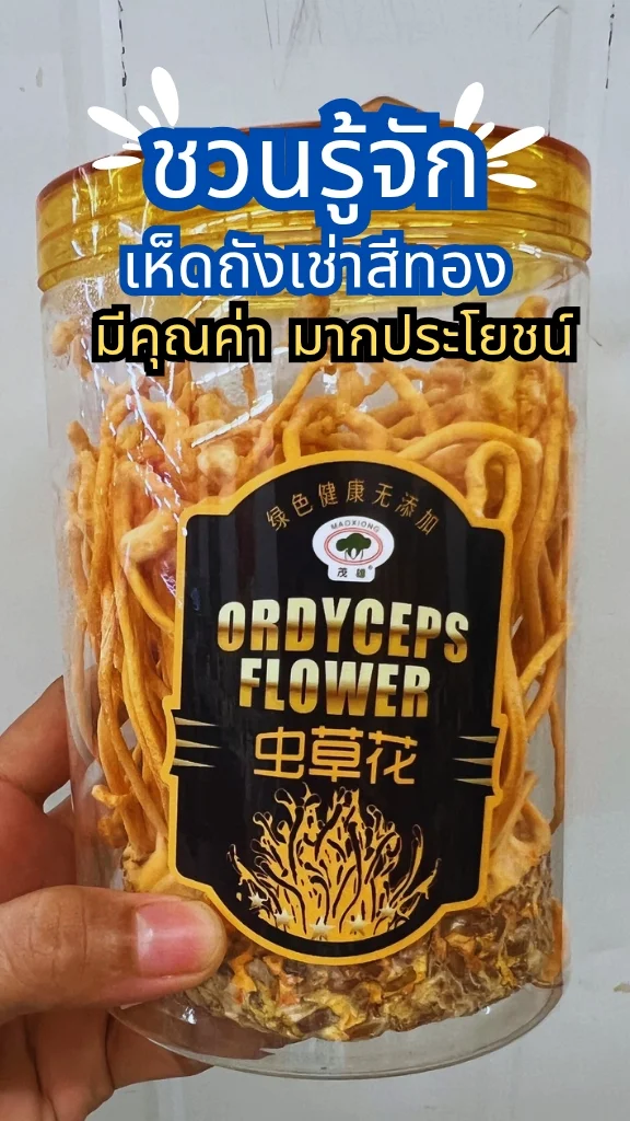 ชวนไปรู้จักเห็ดสีทอง นำมาปรุงอาหารเมนูต่าง ๆ ได้ วางจำหน่ายในแม็คโคร