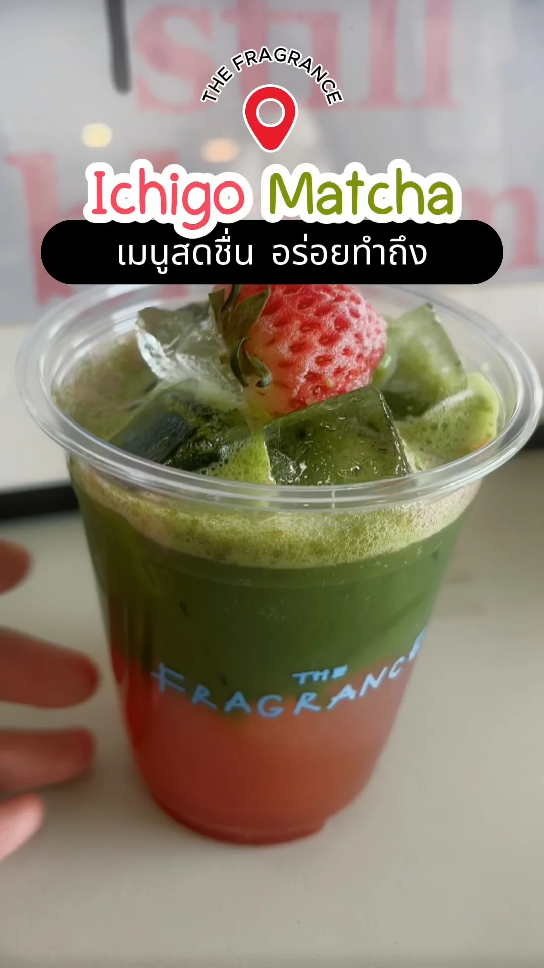รีวิว Ichigo Matcha THE FRAGRANCE คาเฟ่ชะอำ เมนูสดชื่น อร่อยทำถึง