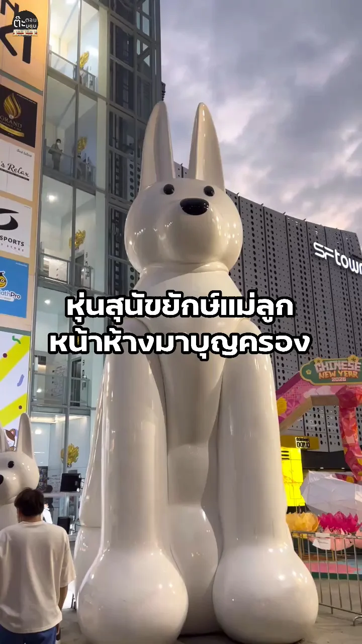 ไปชมหุ่นสุนัขยักษ์แม่ลูก ที่หน้าห้างมาบุญครอง กรุงเทพฯ