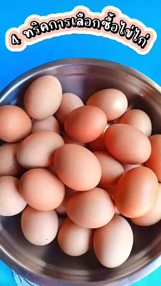 4 ทริคในการเลือกซื้อไข่ไก่ ให้ได้ไข่ที่สด สะอาดและใหม่ ไปดูกันเลย