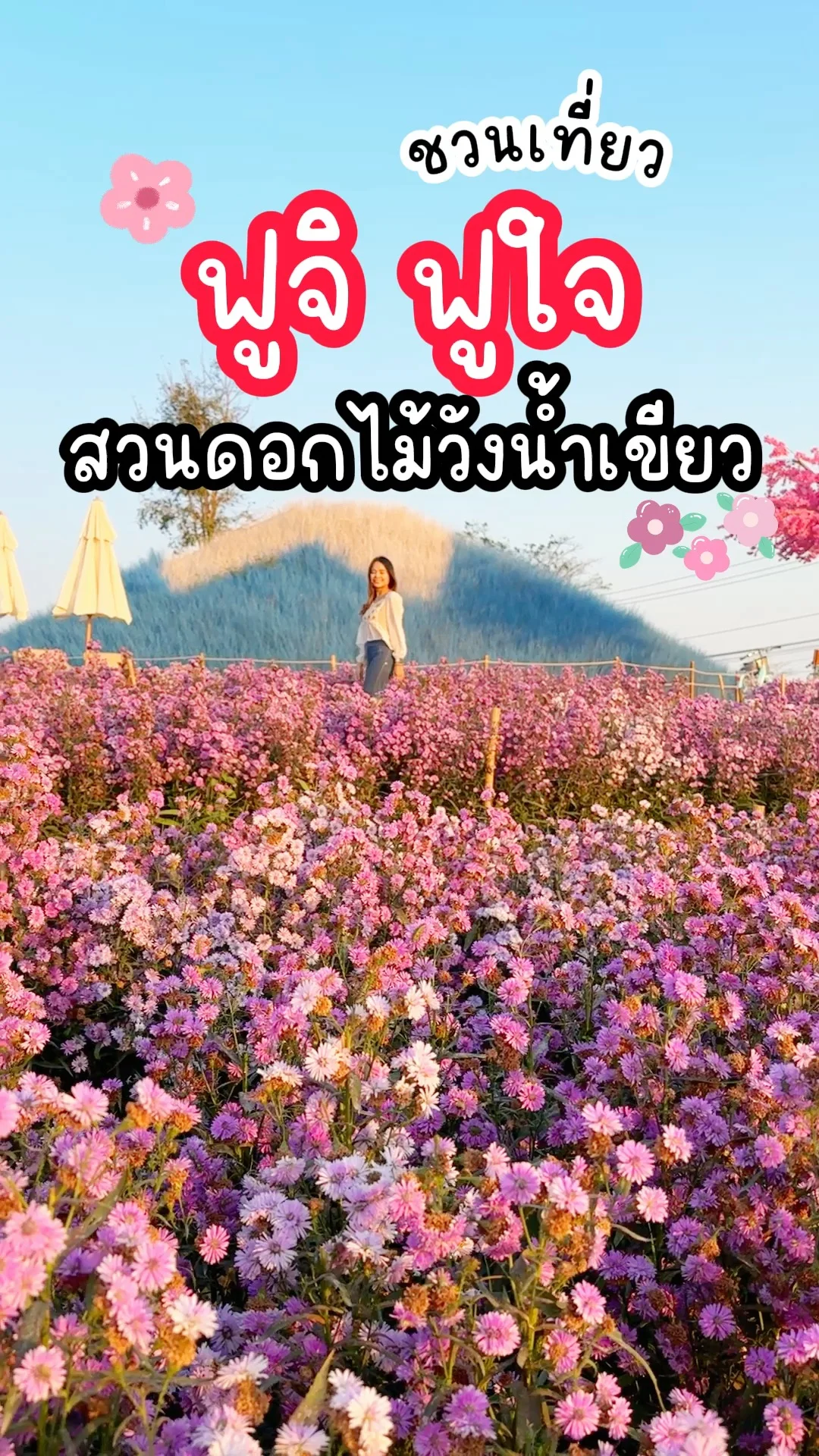 เที่ยวสวนดอกไม้วังน้ำเขียว ฟูจิฟูใจ ฟีลดีย์